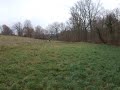 Tir à l'arc avec Jade