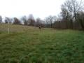 videos de Tir à l'arc avec Jade