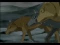Wolf\