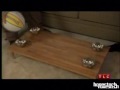 Armintie Price on 'Home Made Simple' (Pt. 3 of 6)