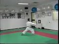 Kata Shotokan Gangaku-sho