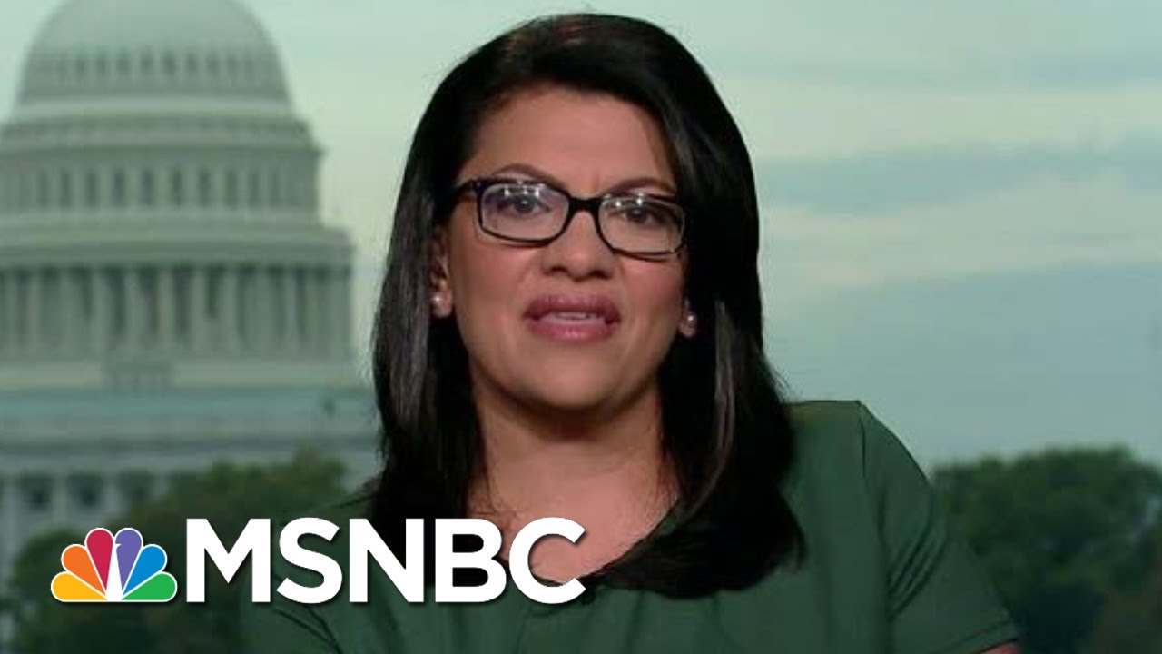 The 'Blue Wave' Was Also a 'Muslim Wave'