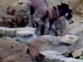 Gay Donkey