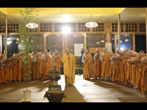 Kinh NIKAYA Giảng Giải - Trí Tuệ Về Tham Dục