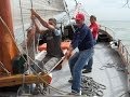 videos de Carpe Diem Sailing - Zeilen op het IJsselmeer
