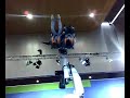 EMO 2007 Hannover , Roboterfreefall