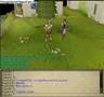 Soybella's wc emote & Angel13112