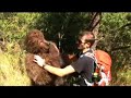 Survive a Bear Attack!