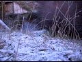 videos de pakitoblaster extreme