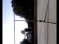 funny skater... funny skater...