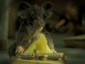 Mousetrap : Milkvids