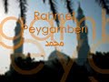 �a?r? the message Seyyidun Nebi