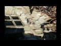 Fez-Meknes. Marruecos - YouTube