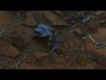 Kingdom Hearts 2 Final Mix Secret Ending (HD).mp4