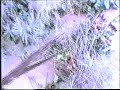 Tratto da un filmato che ho realizzato nel 1993, in collaborazione con LEGAMBIENTE, sul riciclo del rifiuto Organico, quando il problema dei rifiuti era ancora lontano.In questa 2° Parte viene mostrata una famiglia esempio che produce del compost riciclando i propri rifiuti organici...Taken from a movie that I made in 1993, in collaboration with LEGAMBIENTE, on the recycling of Staff refusal when the waste problem was far from done. In this Part 2 ° is shown as a family that produces compost their waste by recycling organic ..
