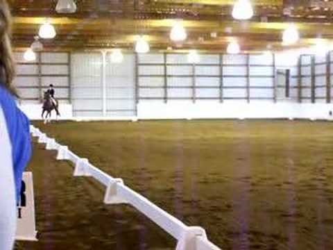 Dressage freestyle