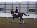 Dressage freestyle Dressage freestyle