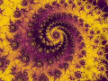 mellow-movez-hundestellung.html