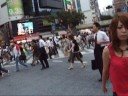 Shibuya - Tokyo Shibuya - Tokyo