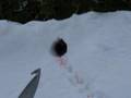 fafard ecureuil squirrel hunting part 6