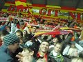 EHCB- EHCO EHCB- EHCO