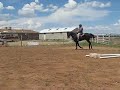 rayvn training2.AVI