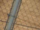 trailway speedway racing