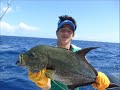 Mission : Jigging in Martinique