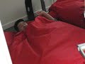 Chinese Bear Waking Up