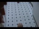 Ella Goulet\ Ella Goulet\