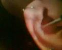 My Conch My Conch