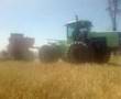 Steiger Vs 585 Massey australia