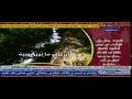 مشاري,العفاسي,حصان