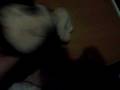 videos de my audition for ambecatproduction