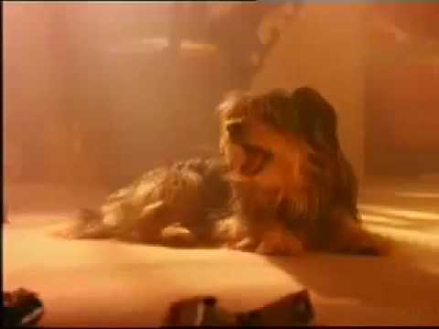 Creativity in Advertising