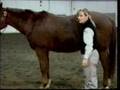 Horse Conformation: Evaluating Overall Conformation, Part 2