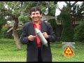 Los Cariñosos de Chota