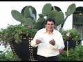 Los Cariñosos de Chota