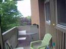 Crazy squirrel