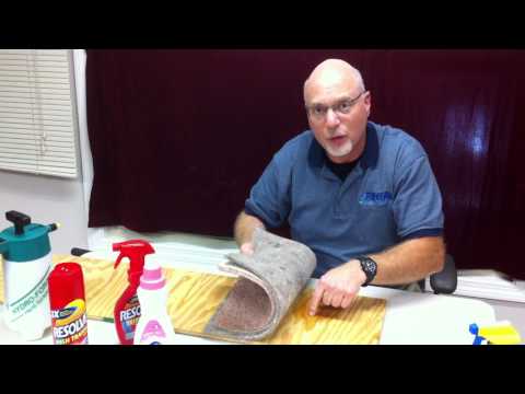 video-linktoworks-How To Get Urine Smell Out Of Carpet - YouTube
