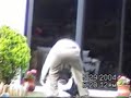 el diario de un borracho