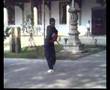 CHINESE kongfu 洪敦品 螳螂拳 武当 少林