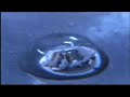 Das weiche Wasser Das weiche Wasser
