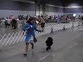Best Junior Handler - Columbia Poodle Club Specialty Show