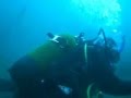 Divingbuddies on a mission