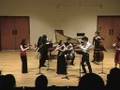 Concerto in G Major For Two Flutes by Cimarosa 1st mvt