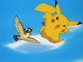 Ash & Pidgeotto Ash & Pidgeotto