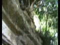 Turismo São José da Boa Vista - Salito
