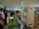 alicante 2008 presentacion
