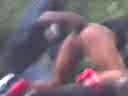 LANHAM SPORTS PARK FREAK